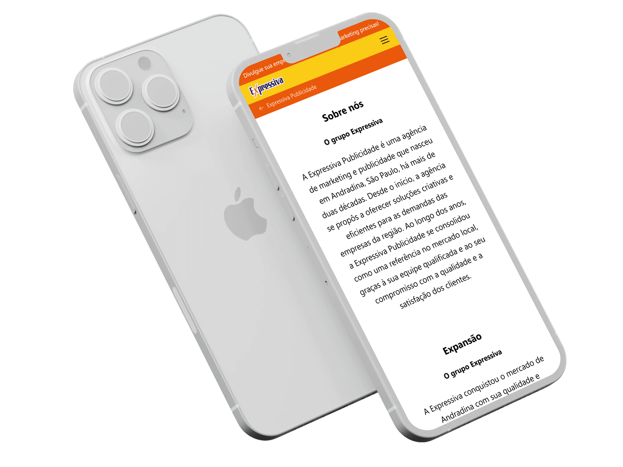 Expressiva Publicidade - imagem 1